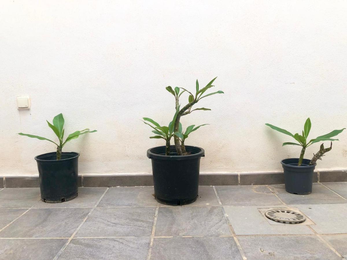 Varela Apartamentos B Màlaga Exteriér fotografie