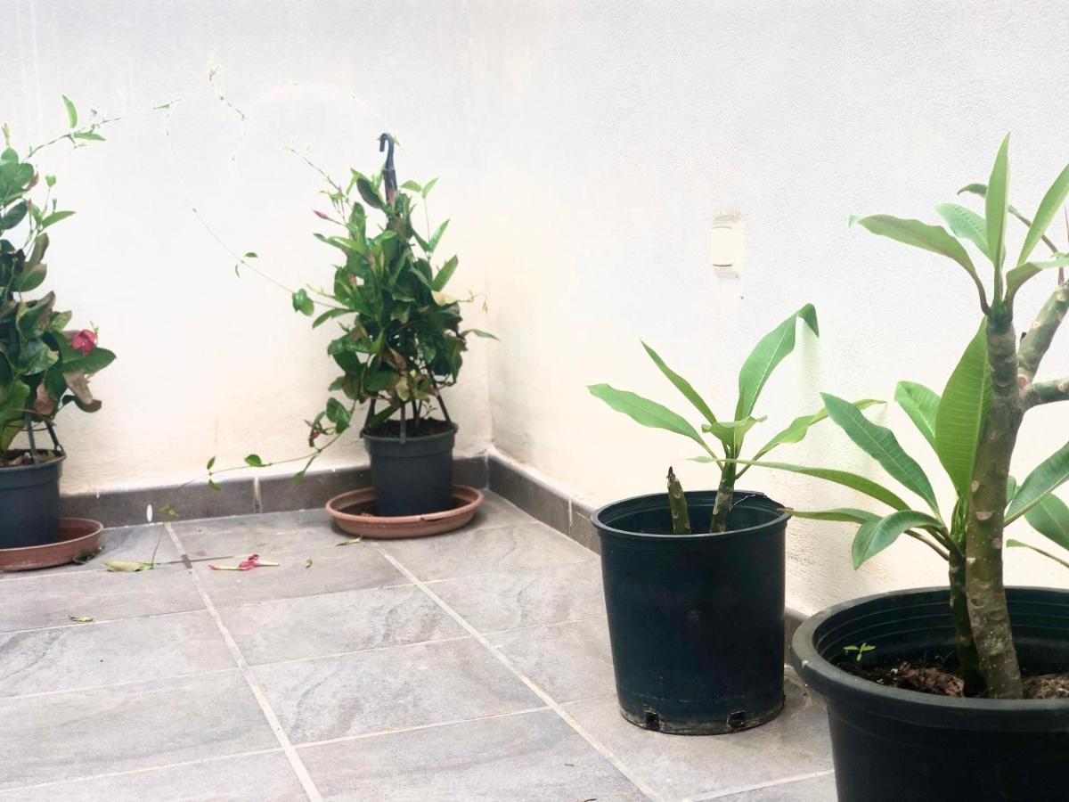 Varela Apartamentos B Màlaga Exteriér fotografie